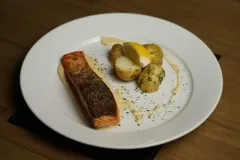 salmon